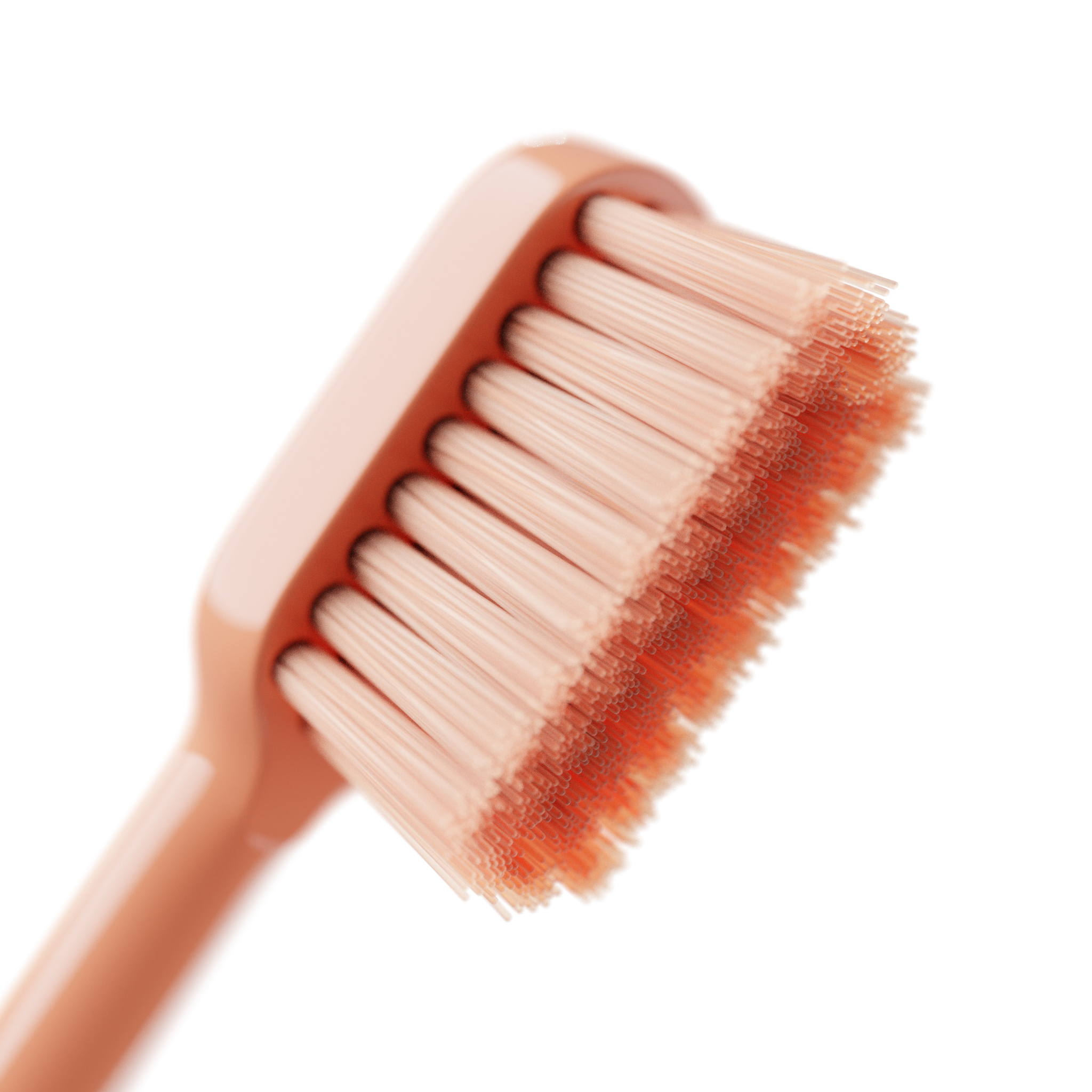 Replacement Heads for Happ E-Brush
