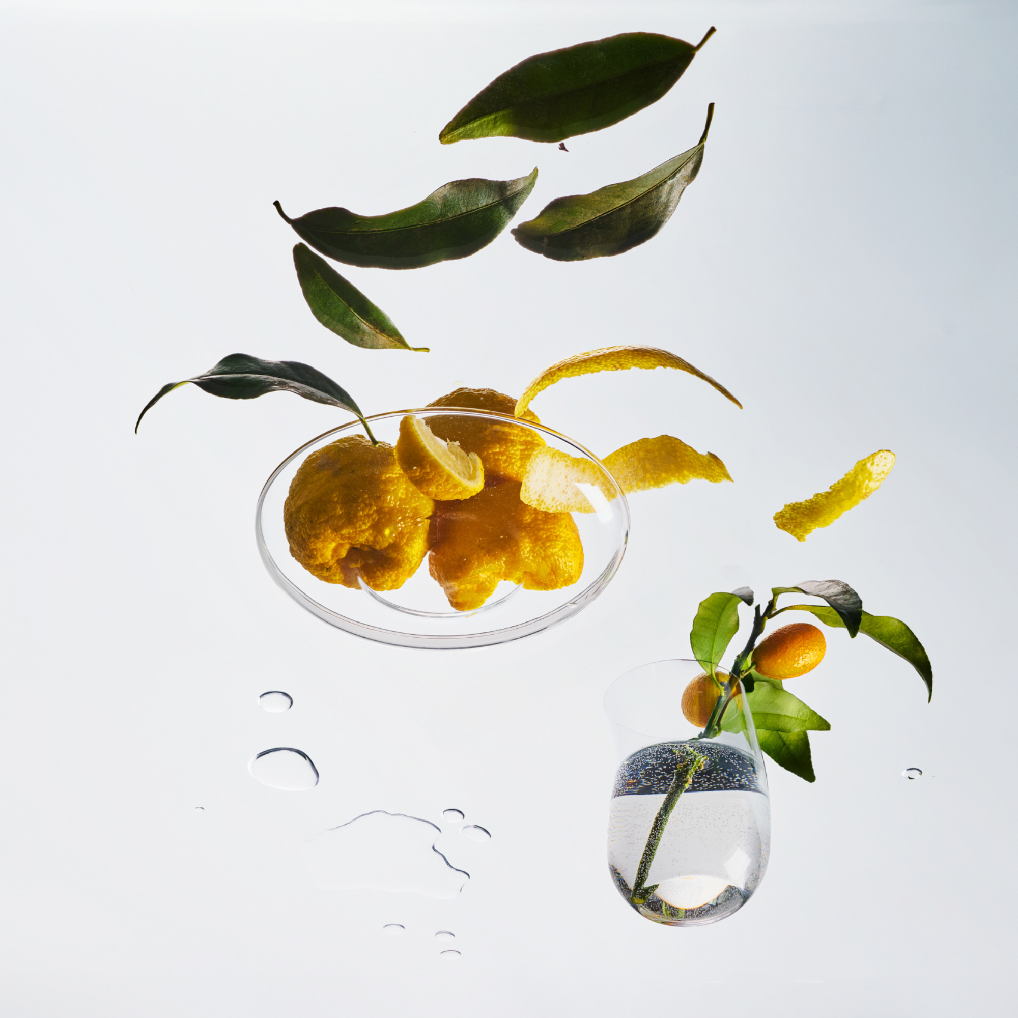 Yuzu – Candle Tin, 4 oz